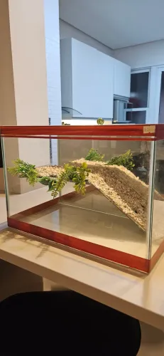 Terrario Tartaruga