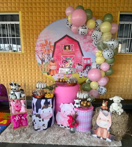 Decoração Fazendinha Rosa - Itens Usados em Excelente Estado