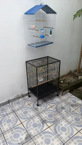 Gaiola