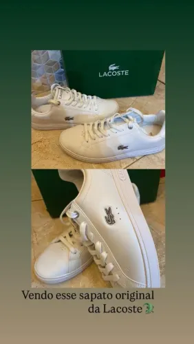 Lacoste original 250,00 pra vender logo zero viu