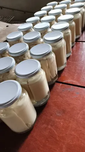 Vendo palmito 
