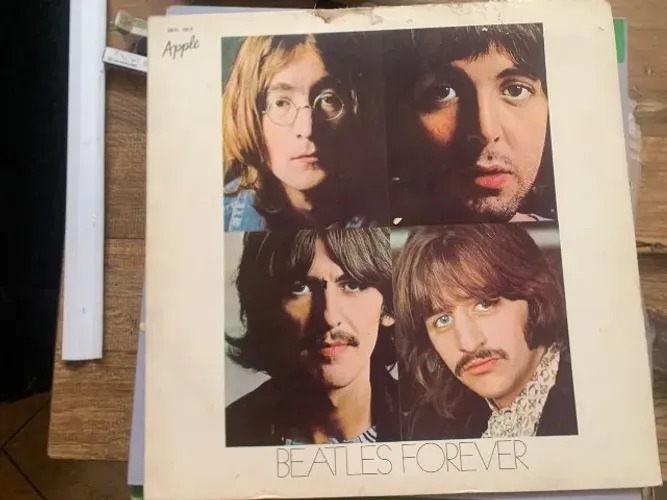 discos de vinil