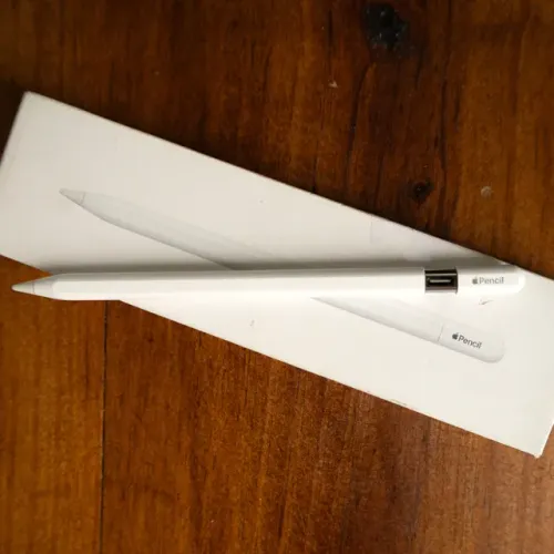 Caneta original Apple Pencil (usb-c)