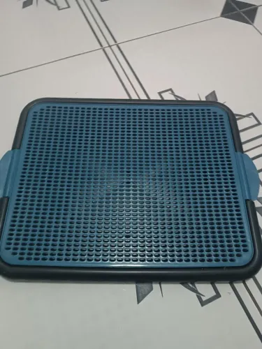 Sanitário Canino Banheiro Pet com Grade Lavável - Azul