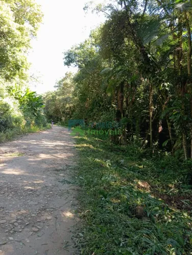 Terreno à venda,39920.00 m², CAPITUVA, MORRETES - PR