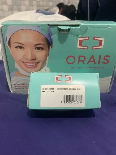 Manequim Odontológico Completo