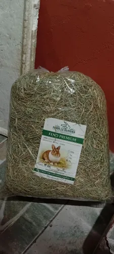 Feno Tifton 3kg verdinho e fresco pra coelho e porquinho da india, hamster, gerbil