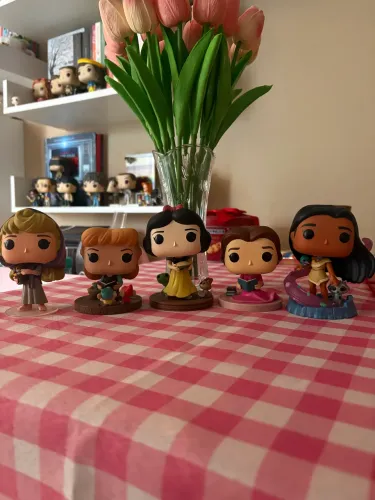 5 Funkos Princesas Disney (com caixa)