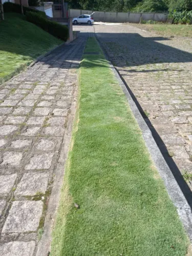 ? JP Jardinagem - Atendimento em Curitiba e Região ?