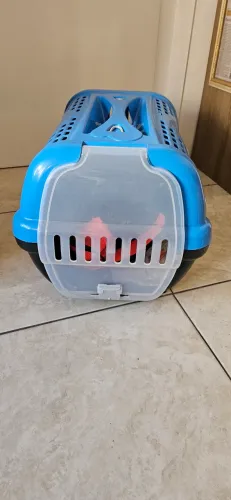 Caixa transporte para Cães e Gatos