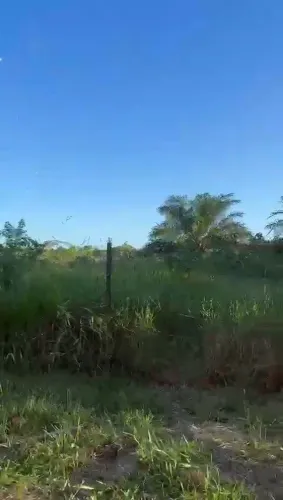 Terreno Praia de Saquaira - Maraú