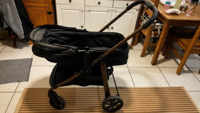 Carinho de Bebê Moisés Galzerano