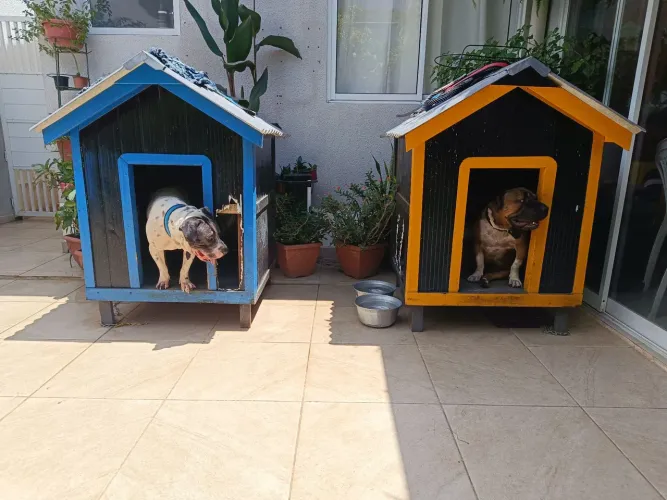 Casinhas para Cães de porte médio/grande