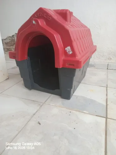 Casa de cachorro é gato nova