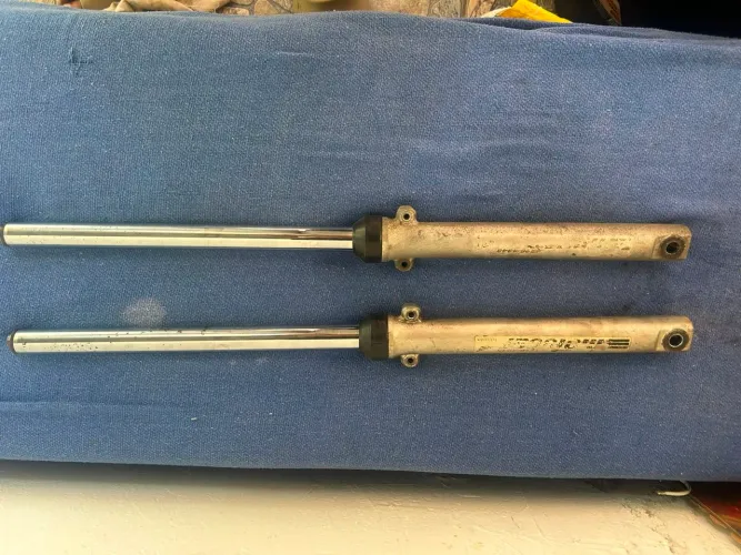 Par de amortecedor /canela 125 fan 2013