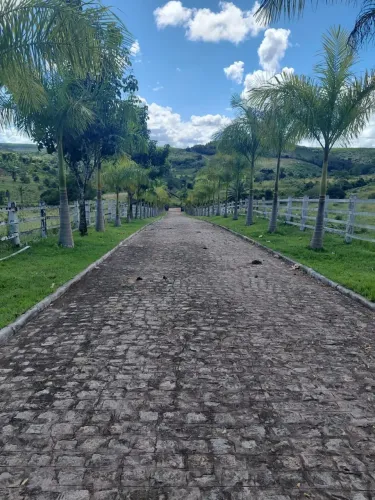 Fazenda de Alto Padrão à Venda em Itanagra  Bahia
