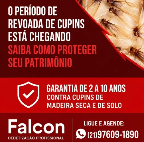 Solução contra CUPINS