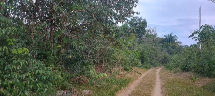 Terreno em novo Airão