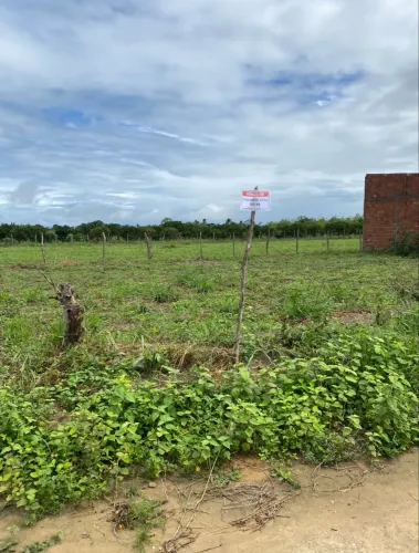 VENDE CHÃO DE CASA NA PISTA DO CEMITÉRIO