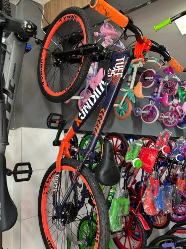 BICICLETA VIKING DO GRAU