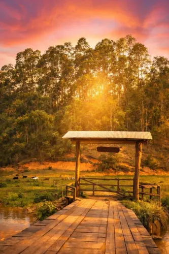 Chácaras com vista panorâmica nas montanhas Domingos Martins/ES, parcelo, aceito proposta
