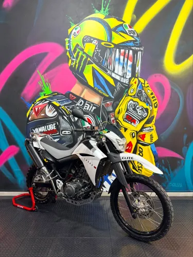 YAMAHA / XT 660R / 2008