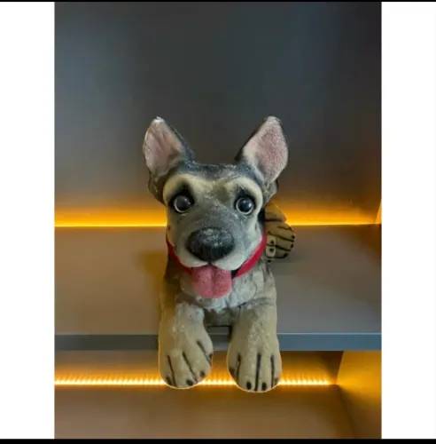 Cachorro Pasto Alemão - Decoração
