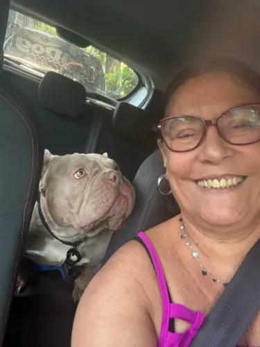 Táxi Dog Tia Kathia