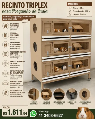 Recinto triplex para porquinho da índia