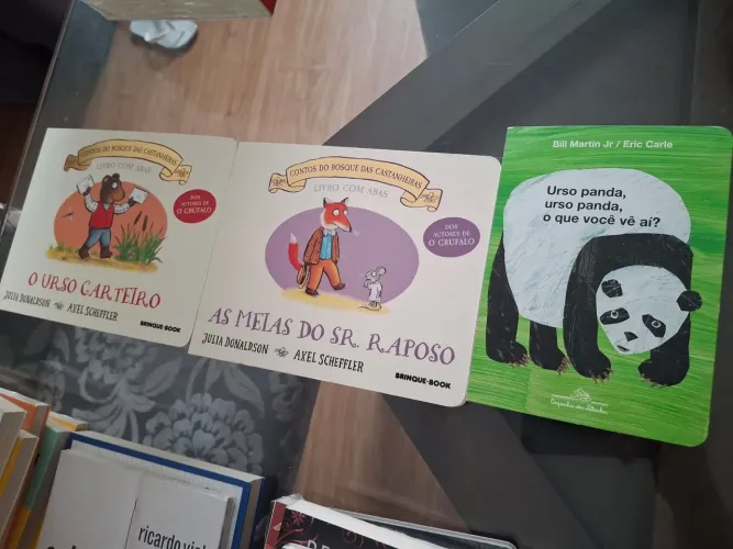 Livros infantis com abas urso carteiro , sr raposo urso panda o que voce vê??
