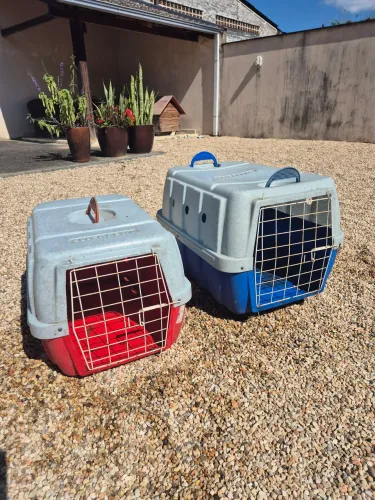 2 Caixas transporte Pet
