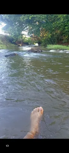 Porangaba atalaia AL