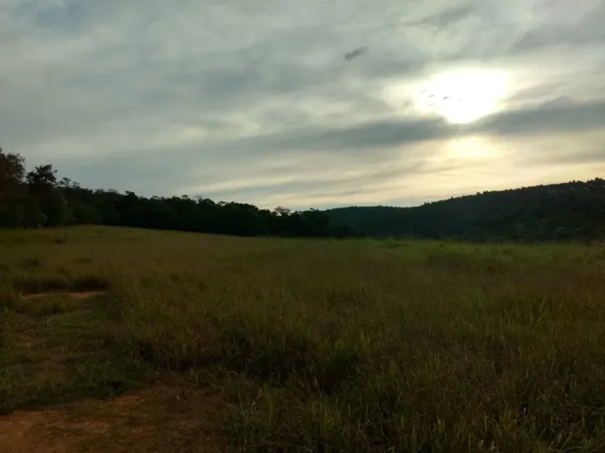 Sítio 11,75 Alqueires, 6 Alqueires Limpos e 5,75 Alqueires em Mata Nativa, Casa e Barracão
