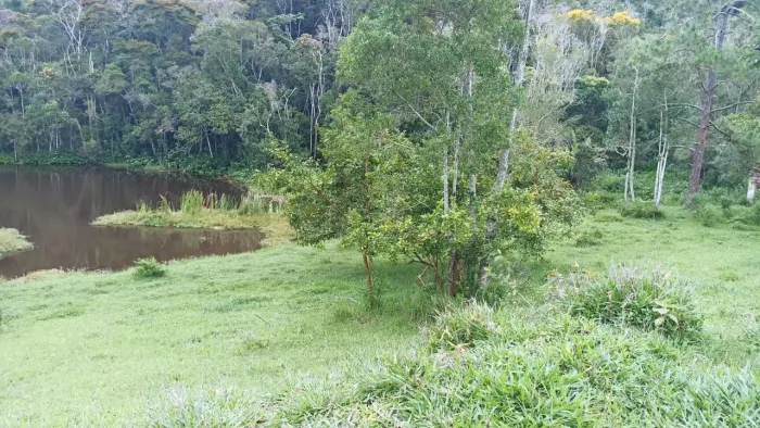 Sitio maravilhoso com vista pra represa Salesopolis/SP