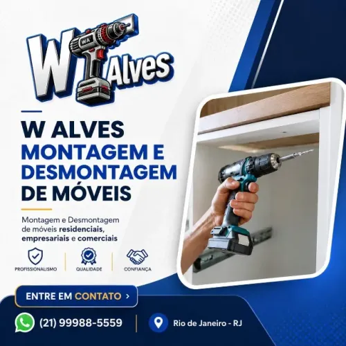 Montador De Moveis Profissional