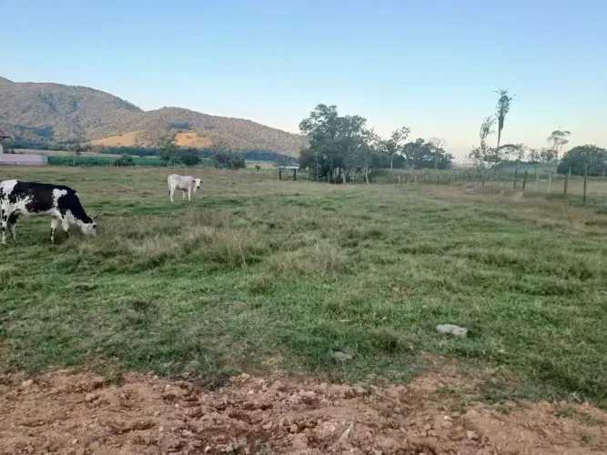 Terreno para venda com 5000 metros quadrados em Três Riachos - Biguaçu - SC