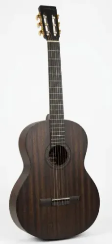 VIOLÃO STRINBERG FOREST SERIES FS3C TOS ELETRICO Equipado com o pré-amplificador SE-50