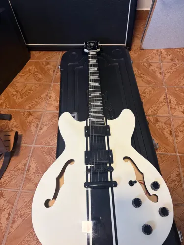 Guitarra semi acústica Waldman