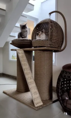 Móvel para seu felino