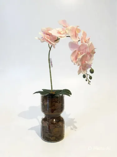 Arranjo de orquídea tamanho grande.