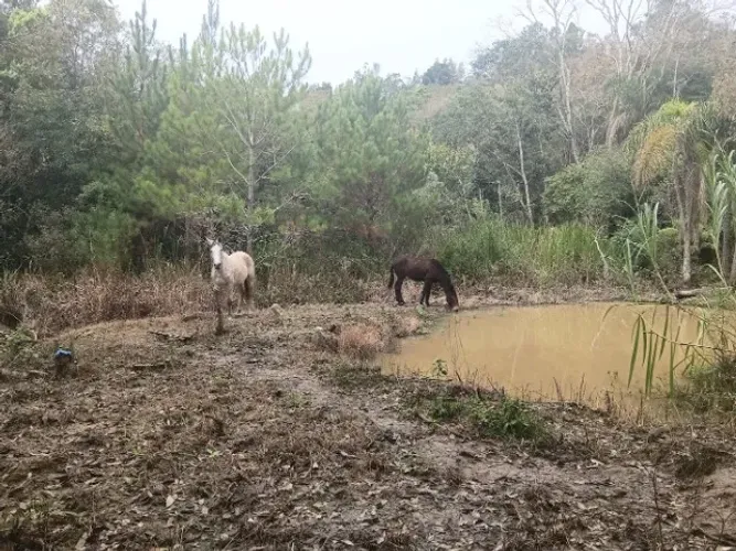 VENDO LINDO TERRENO PARA CHACARA- /Conceição Campo Magro.
