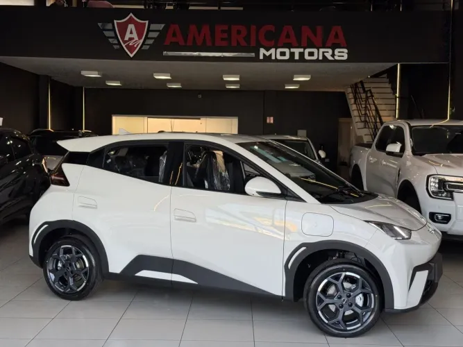 BYD Dolphin Mini (Elétrico) 2027
