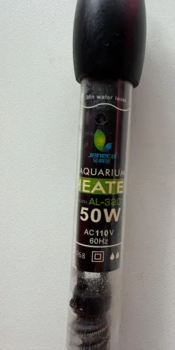 Termostato 50w