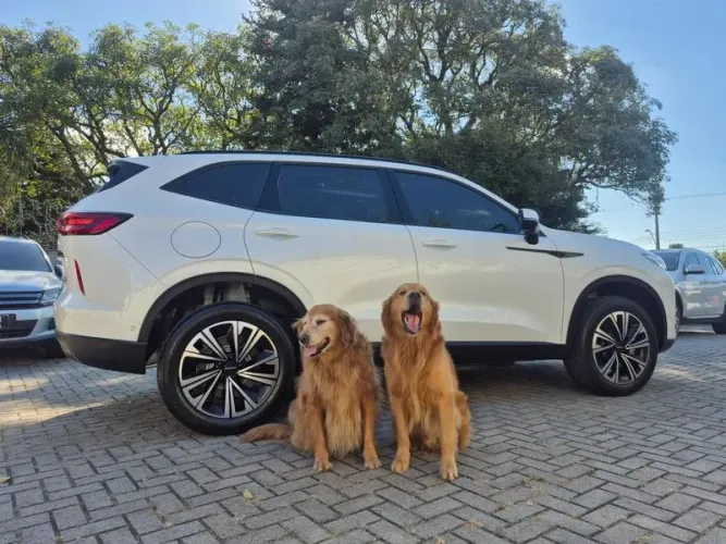 GWM Haval H6 Phev19 (hibrido) 2025