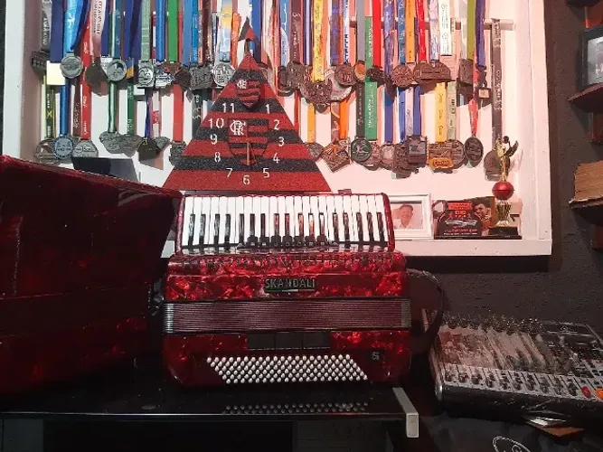 Acordeon SKANDALLI 120b com desmanche, eletrificada AZS profissional