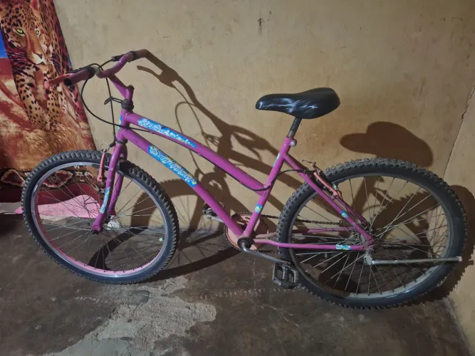 Bicicleta Aro 24
