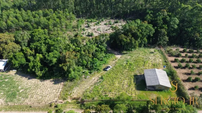 Sítio com 5.000m², casa/ galpão e sanga em Triunfo