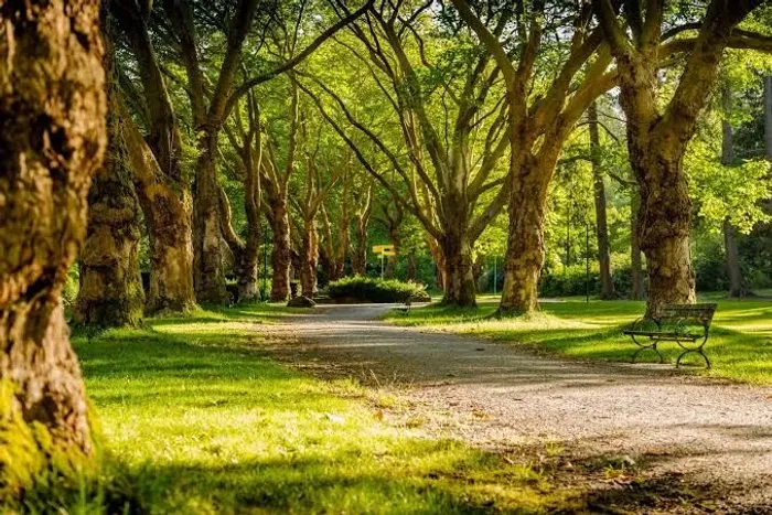 Aceito serviço de caseiro ou jardineiro