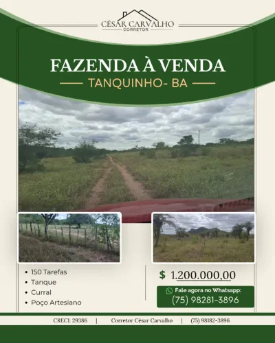 FAZENDA EM TANQUINHO - 150 TAREFAS