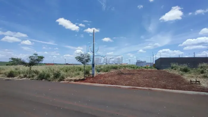 TERRENO À VENDA NA CIDADE DE CRAVINHOS